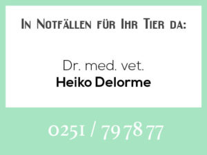 Dr. med. vet. Heiko Delorme - Rufbereitschaft @ Tierarztpraxis Delorme
