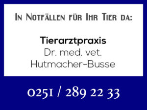 Tierarztpraxis Hutmacher-Busse - Rufbereitschaft @ Tierarztpraxis Hutmacher-Busse