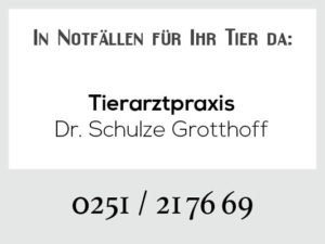 Tierarztpraxis Schulze Grotthoff - Rufbereitschaft @ Tierarztpraxis Dr. Schulze Grotthoff