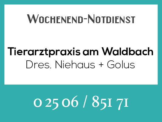 Notdienstkalender_muenster_Profilbild_Niehaus-golus