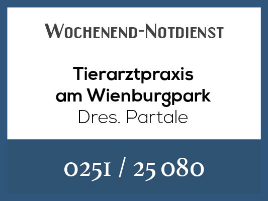 Notdienstkalender_Profilbild_Partale