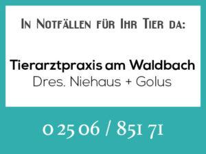 Tierarztpraxis am Waldbach - Rufbereitschaft @ Tierarztpraxis am Waldbach